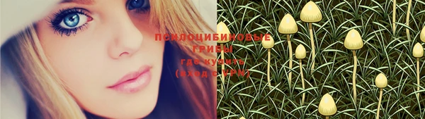 jwh Щигры